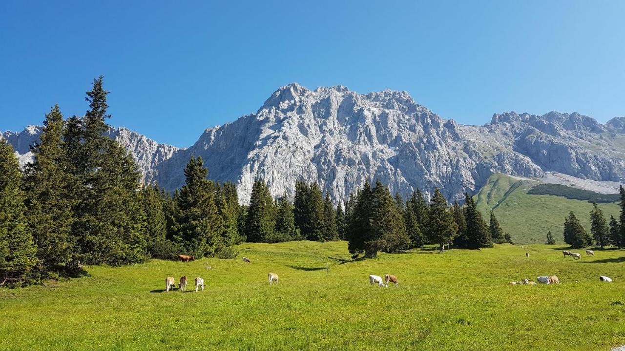 Ferienhaus Villa Alpenpanorama Олщад Екстериор снимка